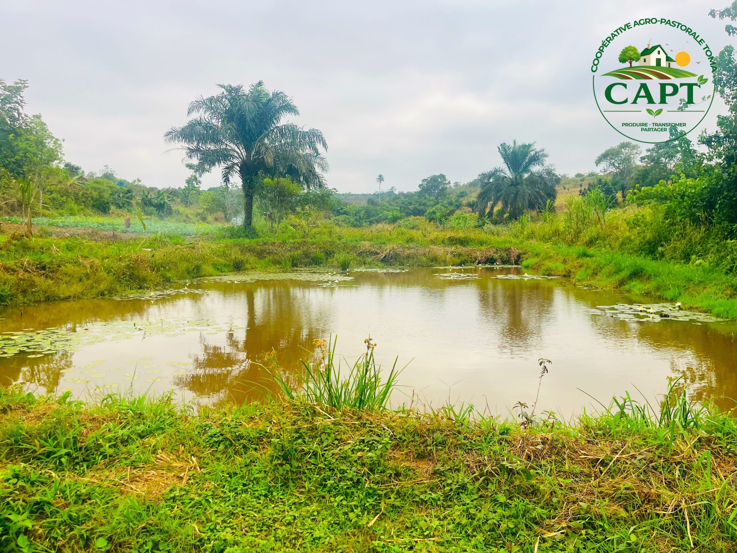 pisciculture_congo